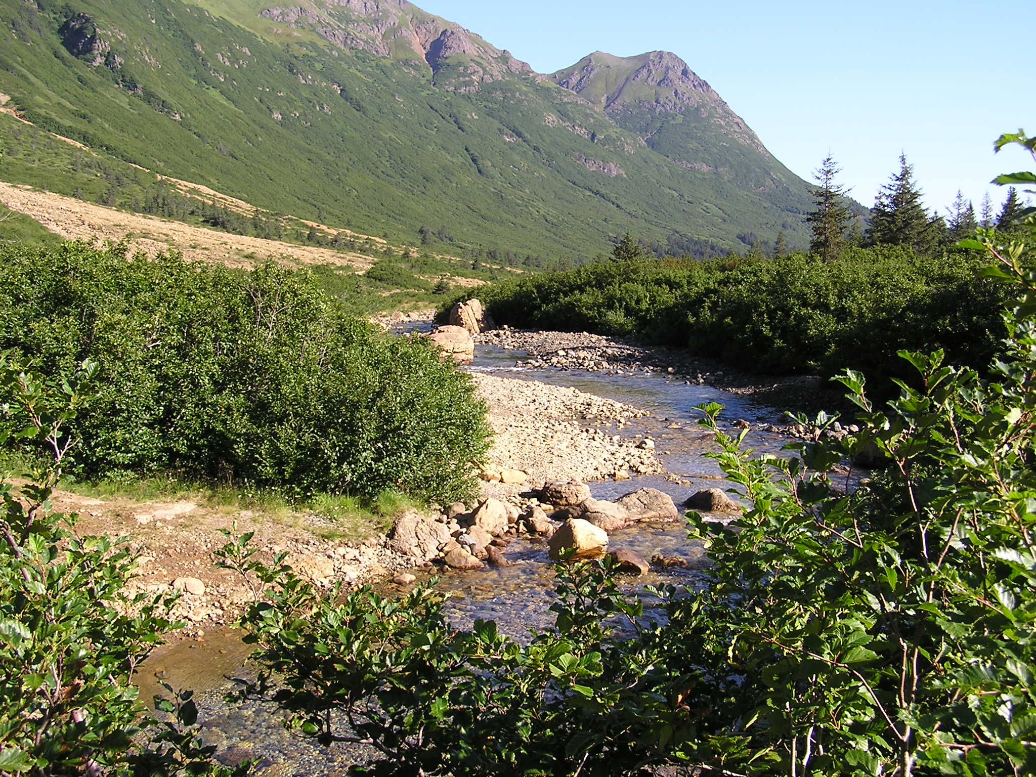 The upper Windy River